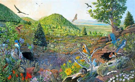 what art form has changed ecosystems drastically? the impact of modern art on wildlife habitats