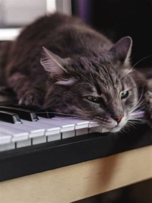 what kind of music do cats like? Do they have their own musical taste?