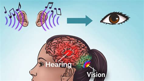 Which Ear Hears Music Better: A Discourse on Auditory Perception